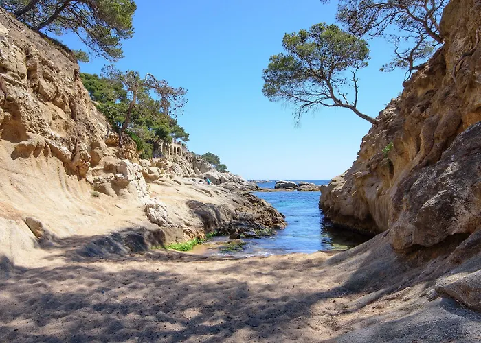 Aparthotel Ciutat De Palol 4*